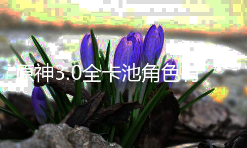 爆料些 信息0全0全角色角色原神有哪卡池卡池