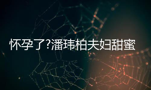 柏夫不露蜜互潘玮拍 宣云怀孕妇甜了衣着正面宽松